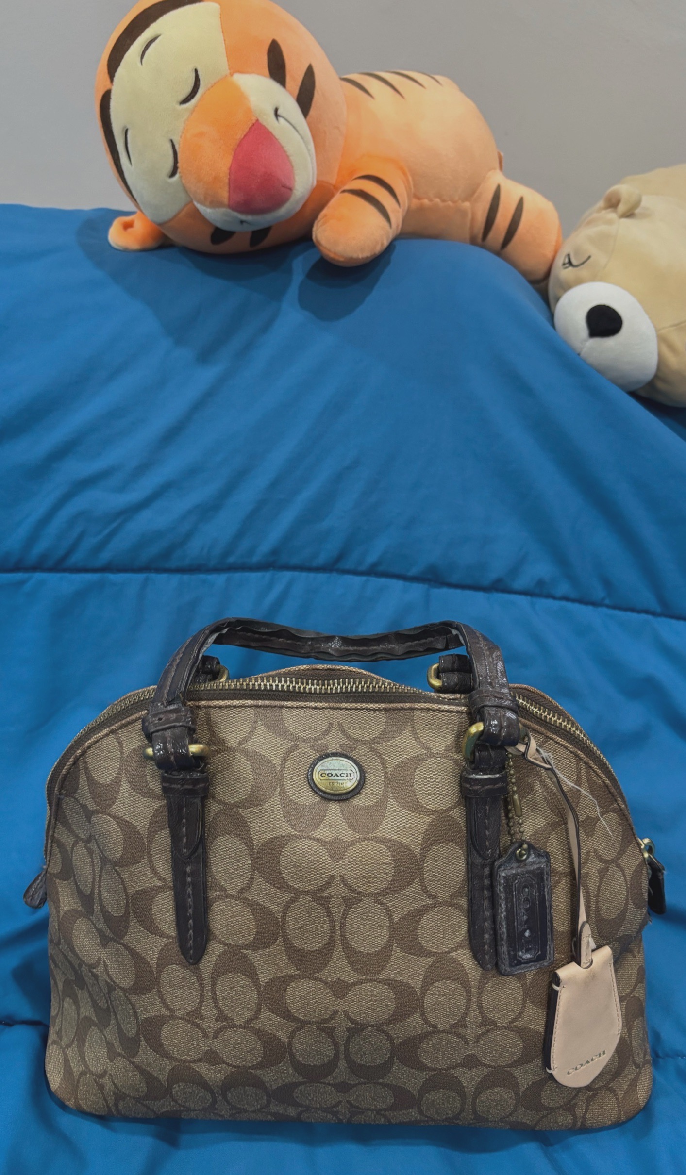 กระเป๋าcoach