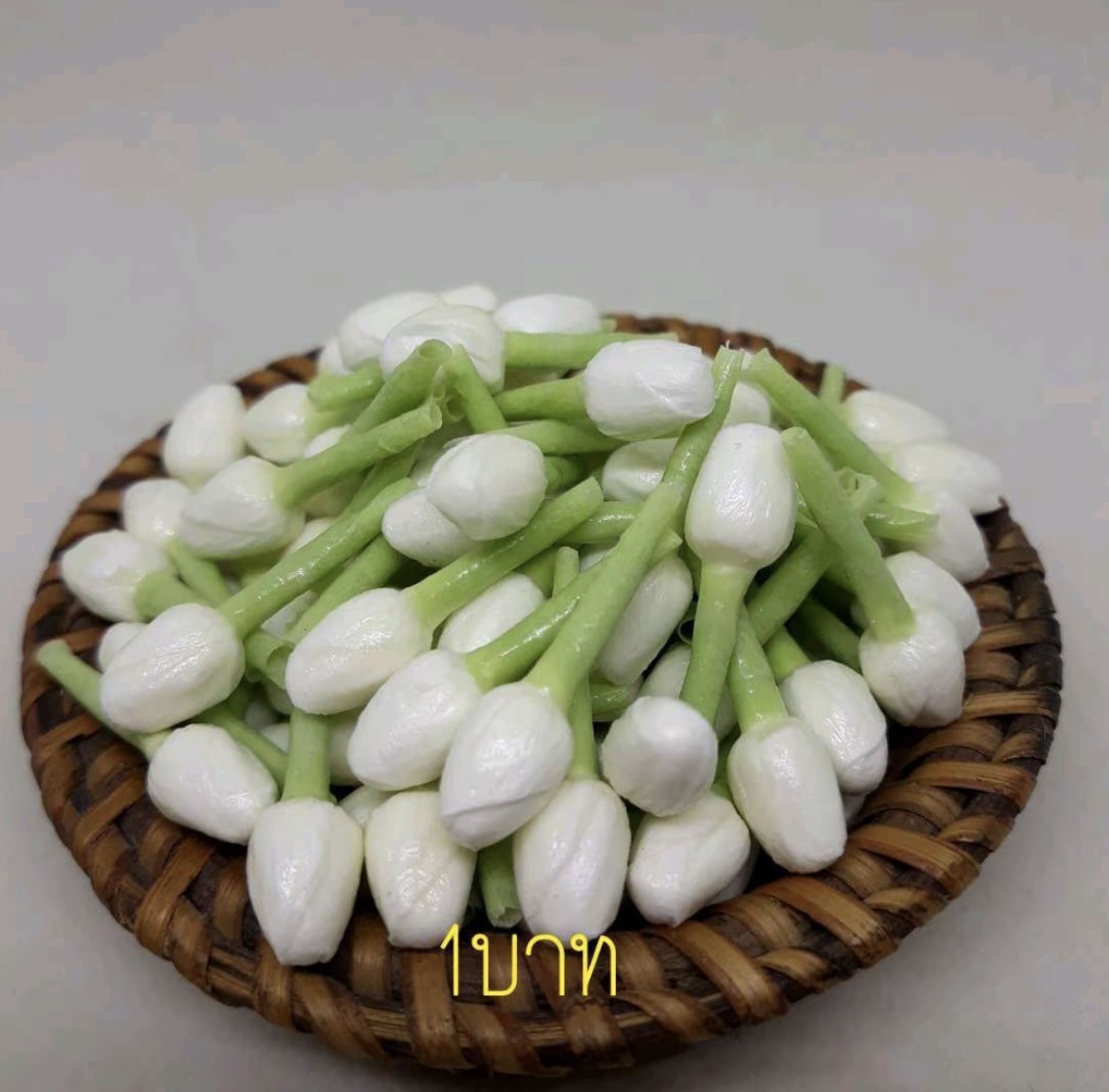 ดอกมะลิทิชชู่ไซต์เหรียญ 2 บาท